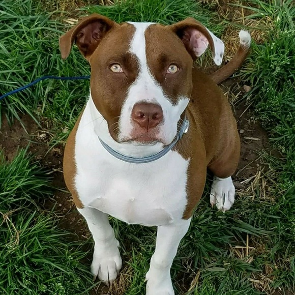 Meet your Posher, Dana - Picture 4 of 8